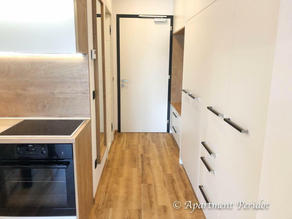 Vila Mojca Apartma Peridot - Center 克拉尼斯卡戈拉 外观 照片