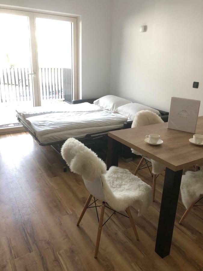 Vila Mojca Apartma Peridot - Center 克拉尼斯卡戈拉 外观 照片